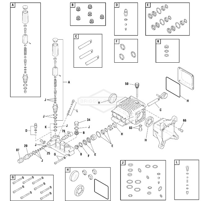 Briggs Pump 705926 pump repair parts 